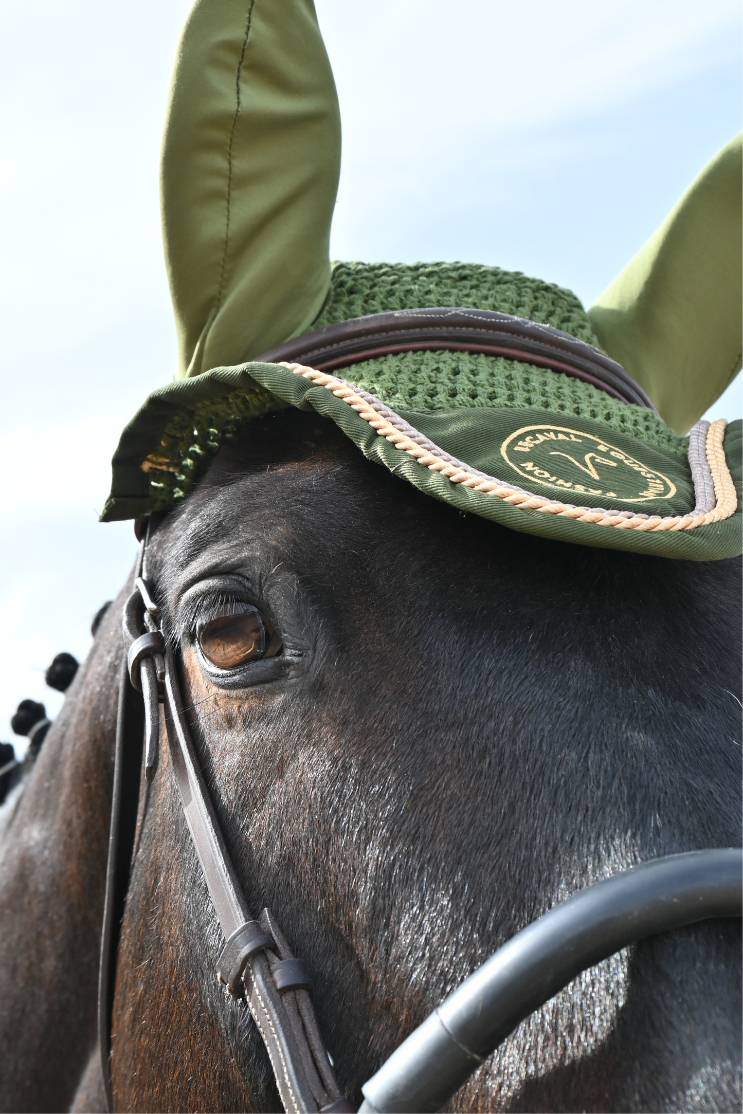 BecaVal Luxe Ear Bonnet